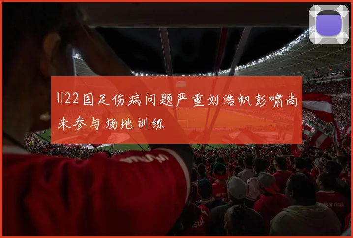 U22国足伤病问题严重刘浩帆彭啸尚未参与场地训练
