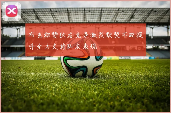 布克称赞狄龙竞争激烈默契不断提升全力支持队友表现
